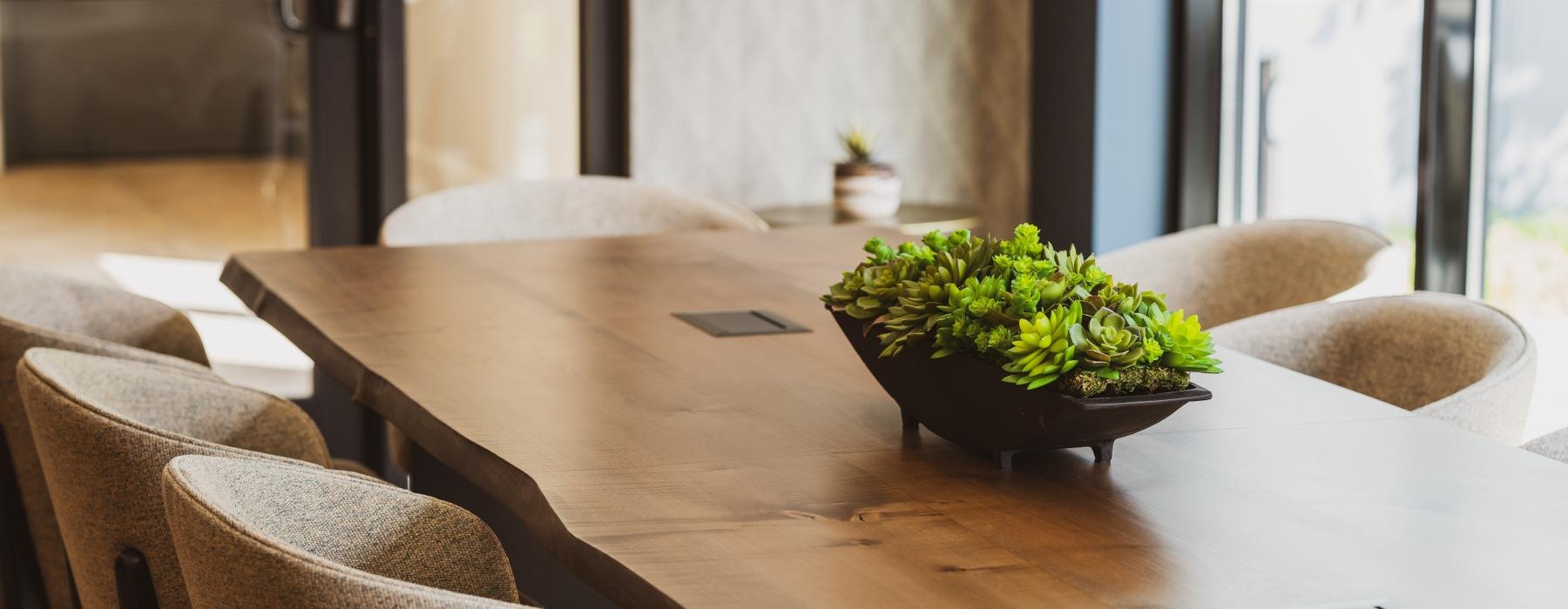 a table with chairs and a plant on it